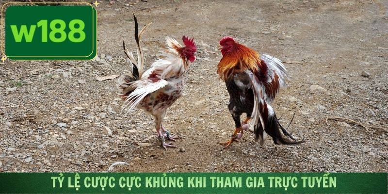 Đá gà trực tuyến tại W188 với hình ảnh sắc nét và âm thanh sống động.